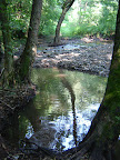 DSC02690.JPG
