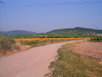HPIM6119.JPG