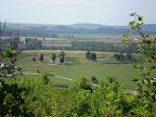 P7190007.JPG