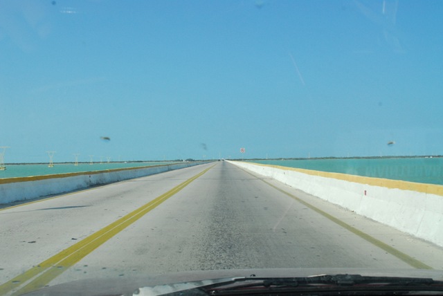 [DSC_0982[2].jpg]