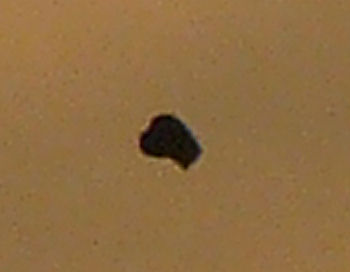 Ufo Black