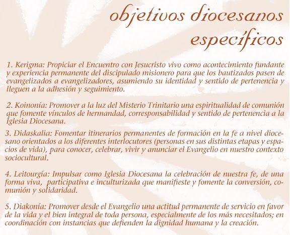 Objetivos diocesanos específicos 2010