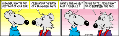 Church Mice_between Church Mice_between