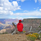 Day 141