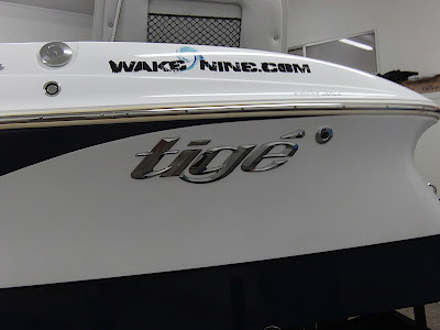 Left Side Tige 24Ve Graphic