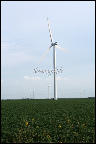 lonely windmill 2