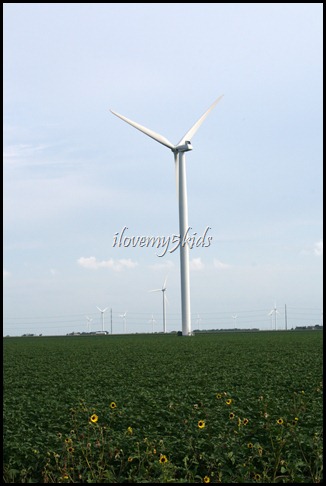lonely windmill 1