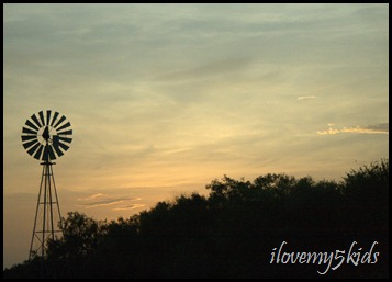 TX Windmill