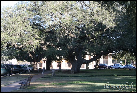 The Hanging Tree