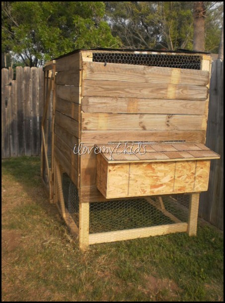 Chicken Coop made with Old Fence Boards