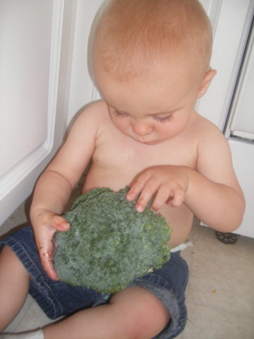 [baby broccoli[3].jpg]