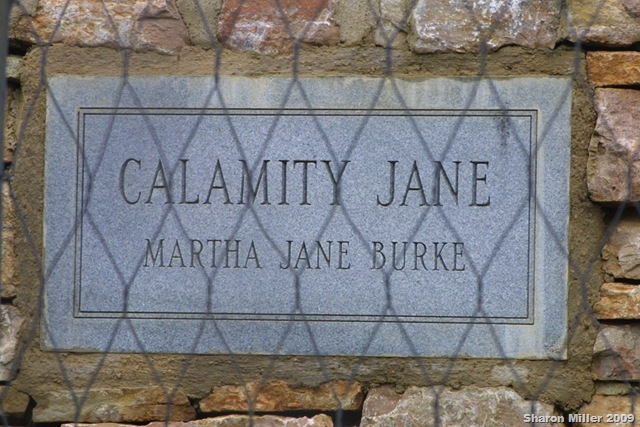 [IMG_00086rev15.jpg]