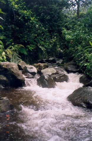 [sungai[1].jpg]