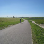 Bruinisse omgeving