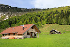 View Photo