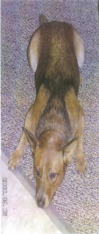 [Zoey[5].jpg]