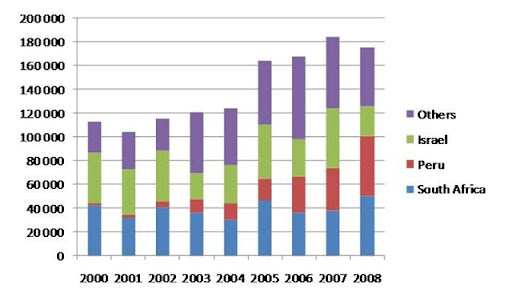 avocado 2000 2008
