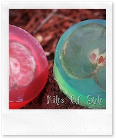 Vegan Soap Vegan Soap