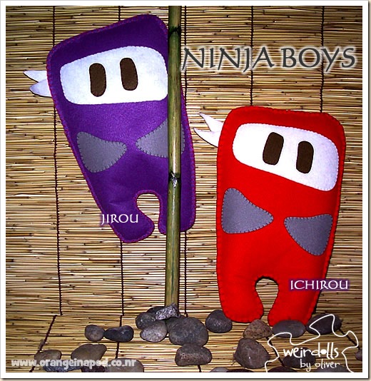 ninjaboys