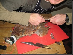 IMG_5373 IMG_5373