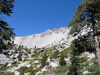 2010-08-14_11.28.46_1050285.jpg