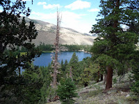 2010-08-21_12.12.47_1050343.jpg Photo 2010-08-21_12.12.47_1050343.jpg Photo