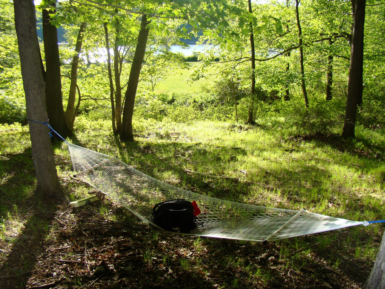 [DSC04399[2].jpg]