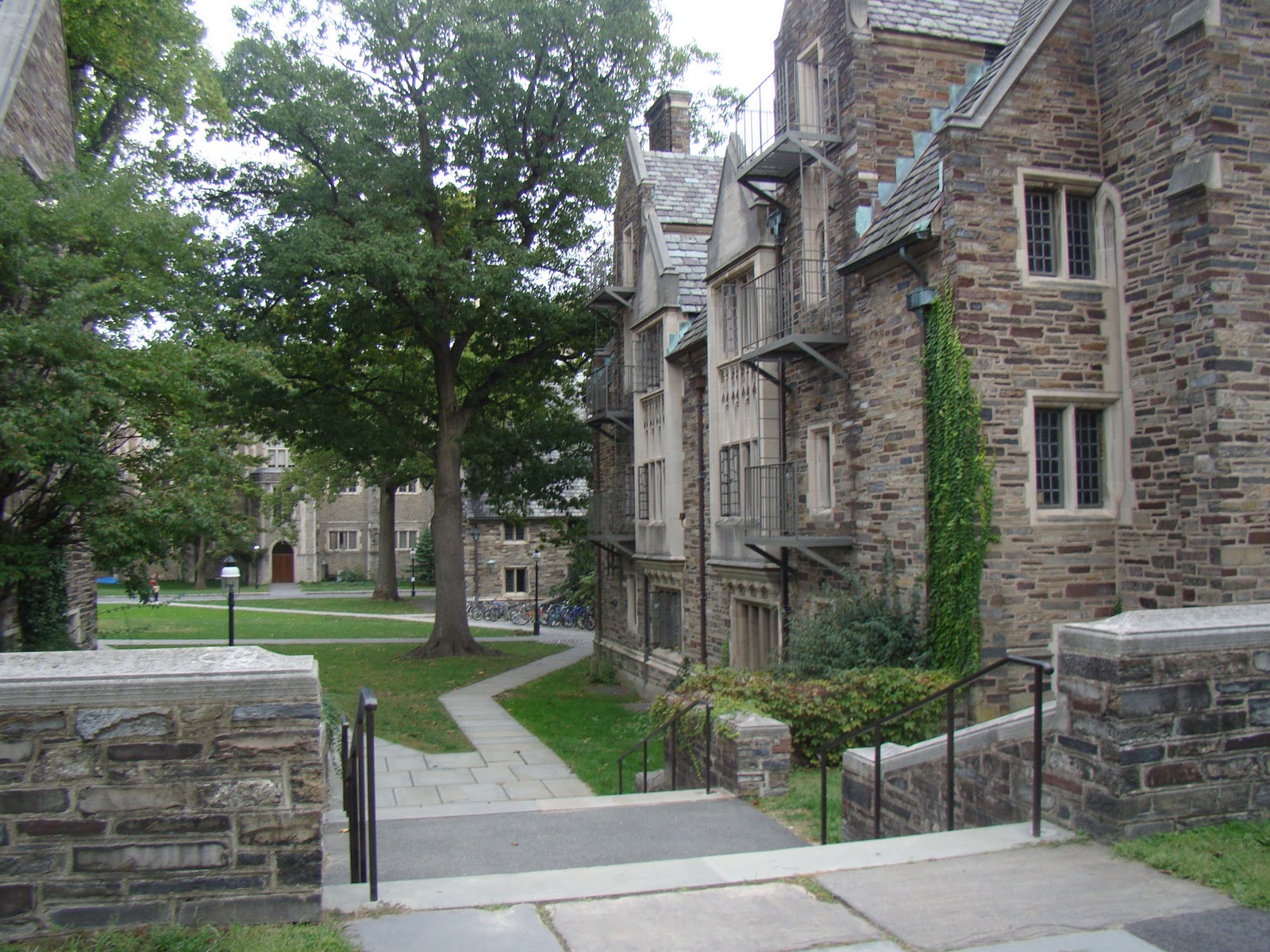 [DSC05327[2].jpg]