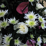 IMG_0593.JPG