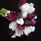DSCF1004.JPG