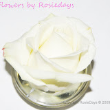 flowers8.jpg