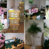 ChristChurch Wedding 220809.jpg