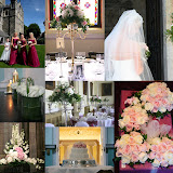 christchurch - sarahs' pics.jpg