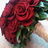 2011-02-04 11.01.40.jpg