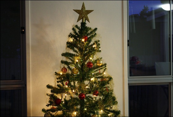IMG_3371 - Copy