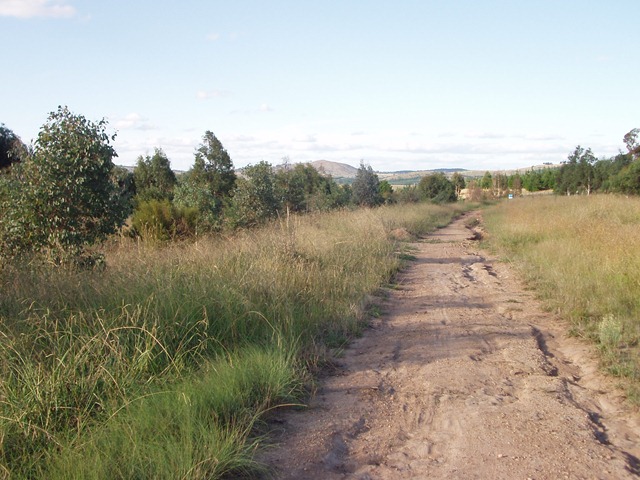 [P2140046[4].jpg]