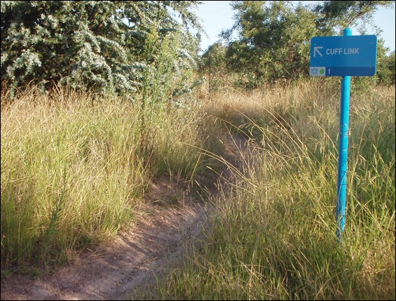 P2140041