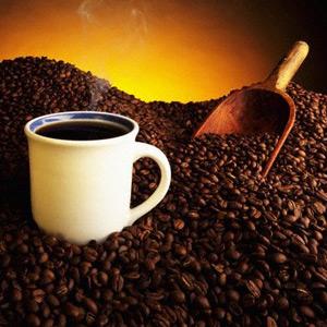 comercializarea cafelei coffeeterra