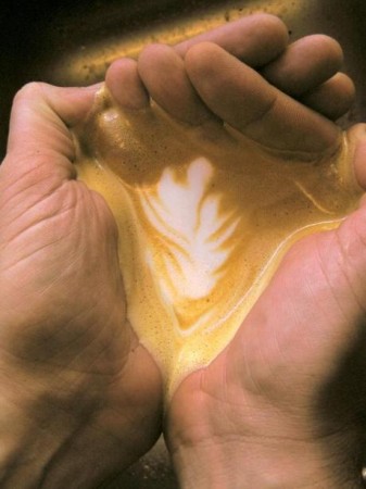 coffeeterra