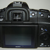 Back View