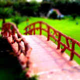delhibridge.jpg