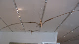 IMG_1897.JPG