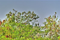 The final HDR image
