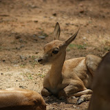 This guys was quite uninterested