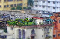 DSC03458-tiltshift.jpg