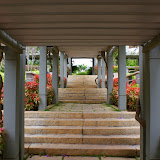 The main entrance to the resort. There was a lot of walking involved as this is a sprawling property.