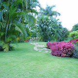 More of the gardens. I was able to walk around and take some quite nice photos.