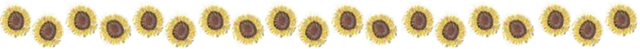 [Post Divider Image copy[2].png]