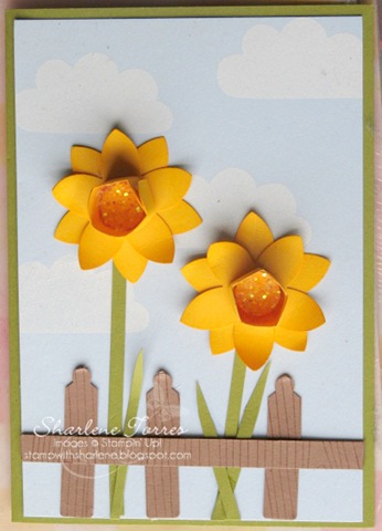 [daffodils card[6].jpg]