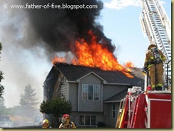 Fire (11)